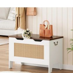 Garvee Storage Chest, Rattan Toy Chest for Boys Girls,