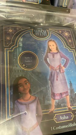 Wish “Asha” Costume