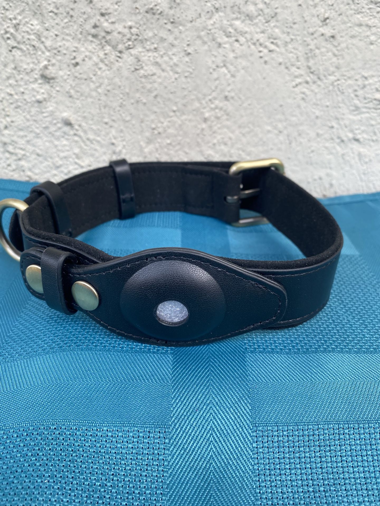 Leather Dog Collar With Padding AirTag Holder GPS Tracker