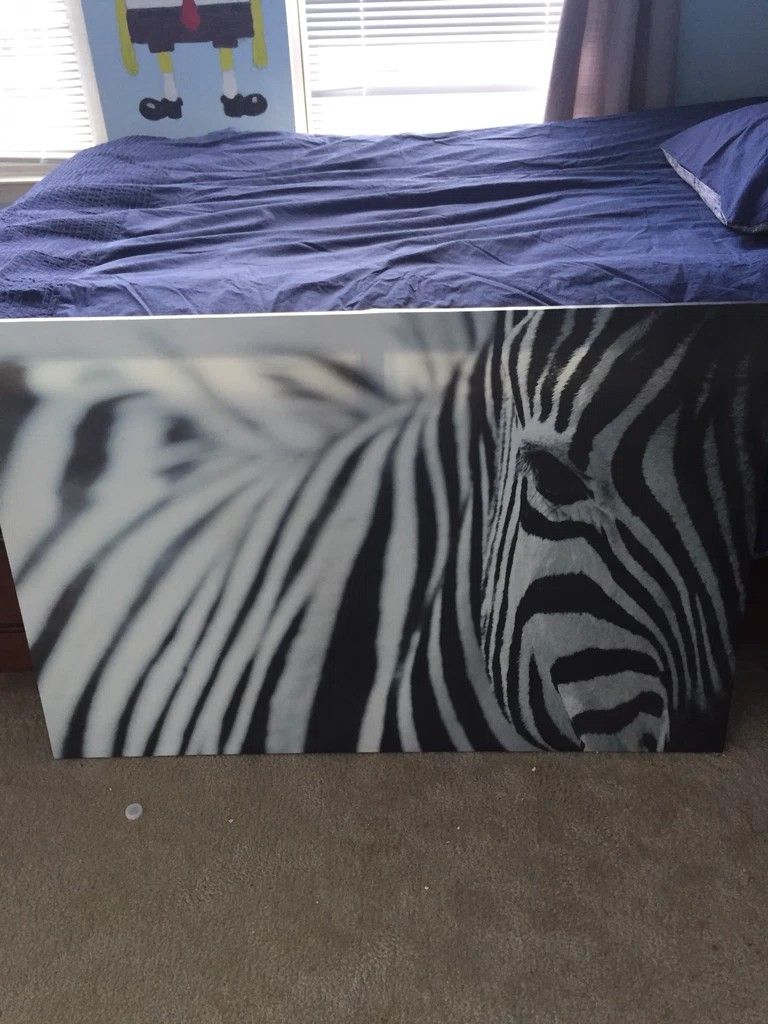 Zebra canvas art