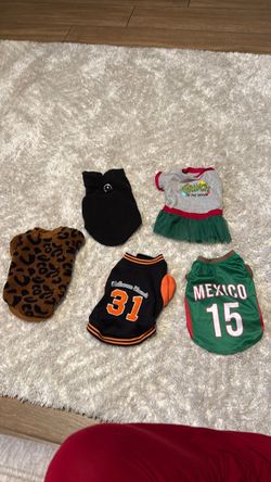 Dog clothes