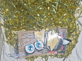 Party Back Drop & Pic Signs