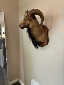WALL MOUNT WRSTERN DECOR..150 and 200 each one