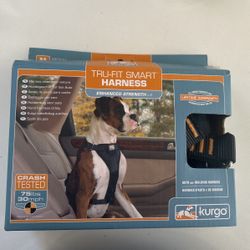 Never Used The Harness 