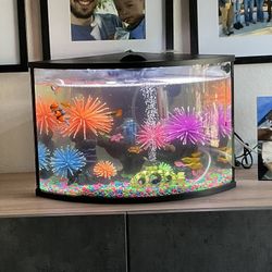 6 Gallon Fish Tank