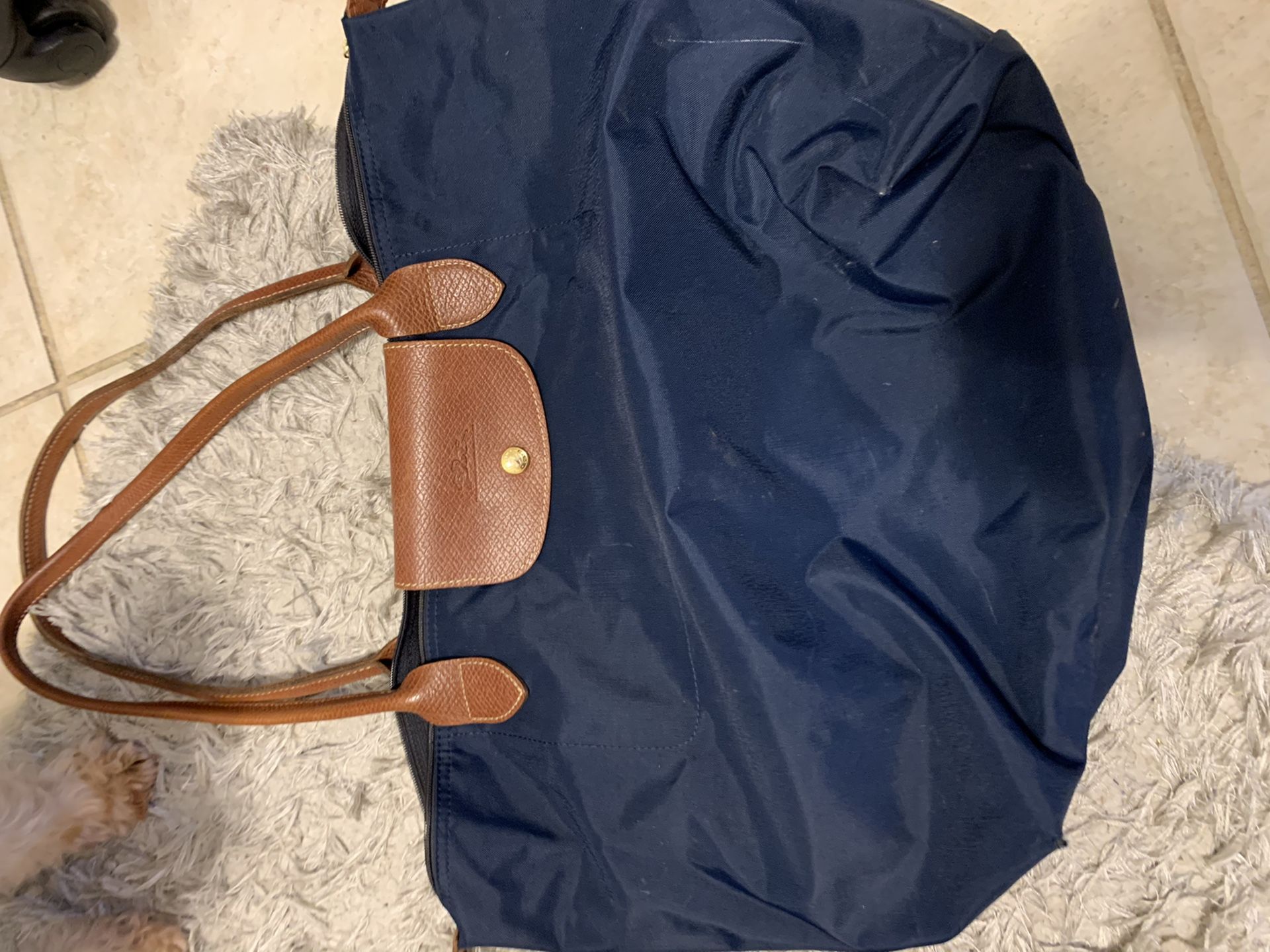 Long champ bag