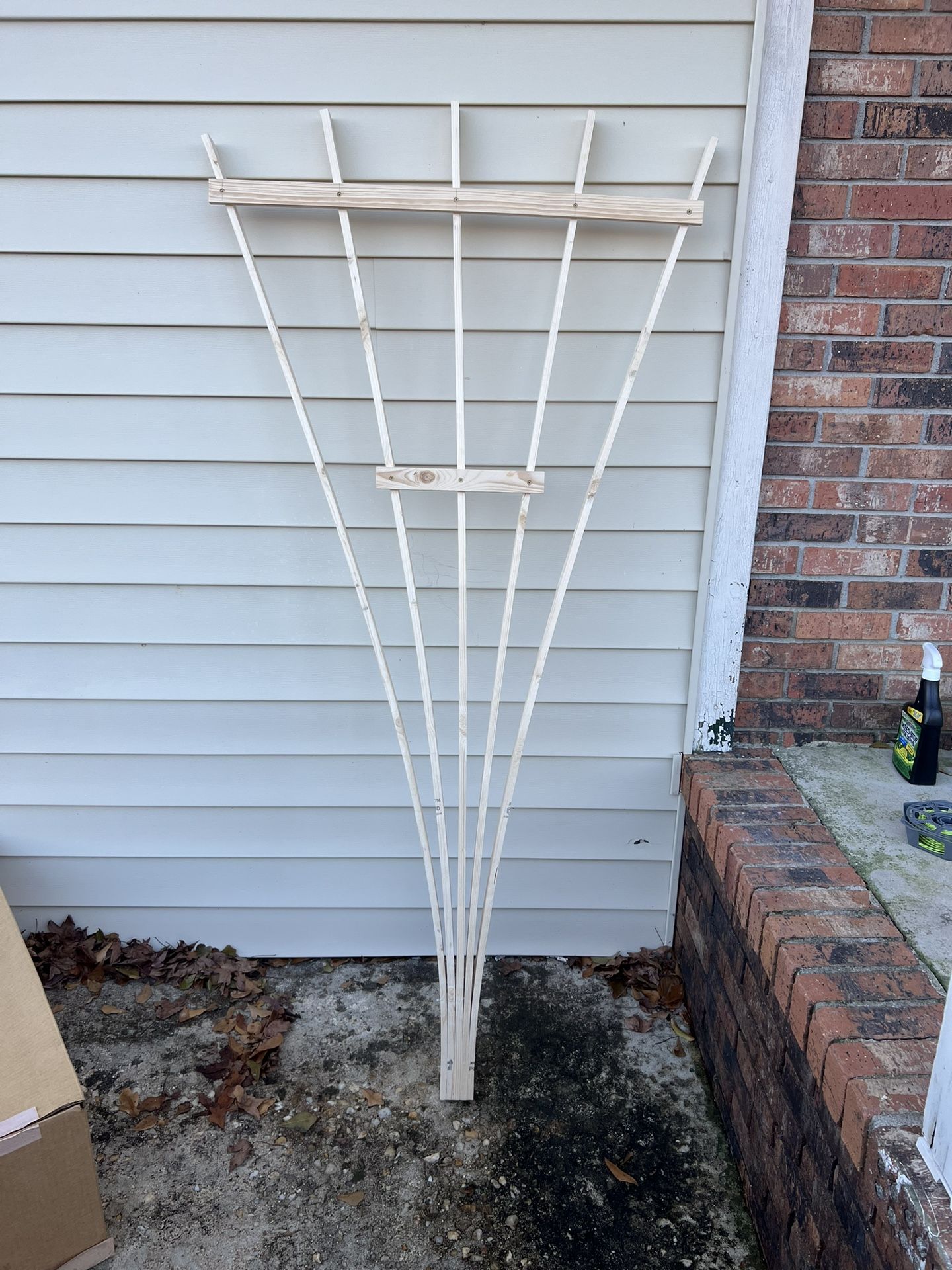 Garden Trellis