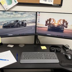 Lenovo thinkvision 24 Monitors Dual