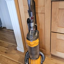 Dyson Animal Ball DC 25 