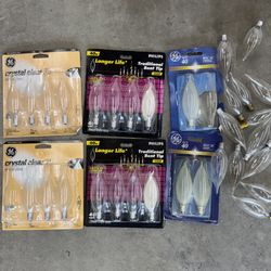 Light Bulbs 