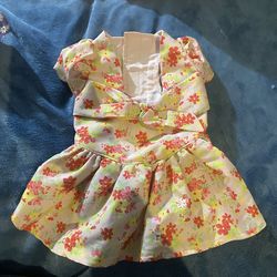 Small Dog Dress