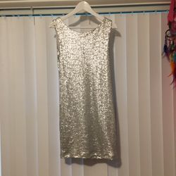Silver Dress
