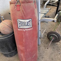 Everlast Punching Bag And Speed Ball Stand