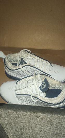 Air Jordan dub zero