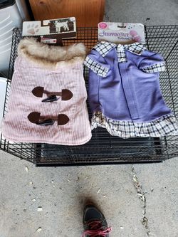 Dog clothes