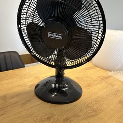 Small Fan