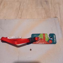 Medium Dog accessories