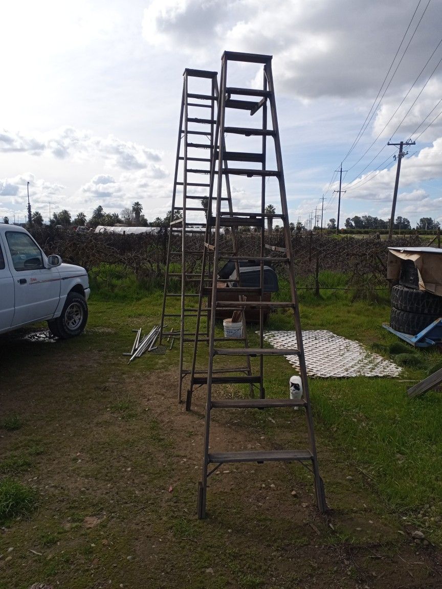 2 Large Wood Ladders