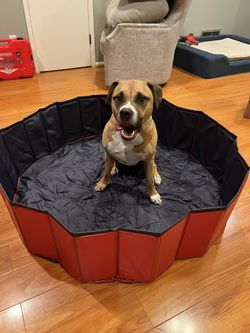 Foldable Pool