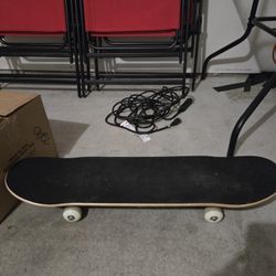 Skate Board