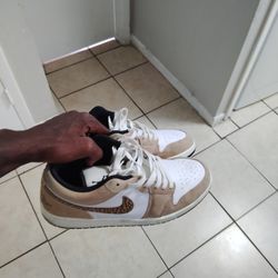 Jordan Dunks
