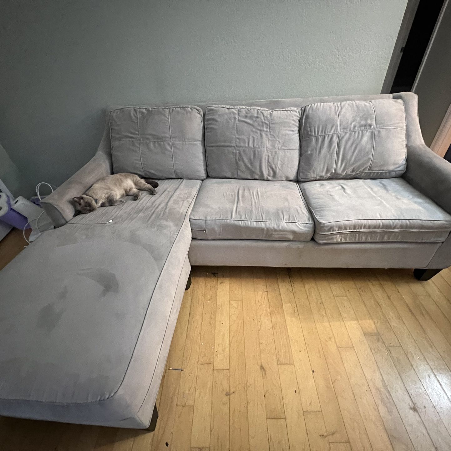 Couch With Pull Out Bed