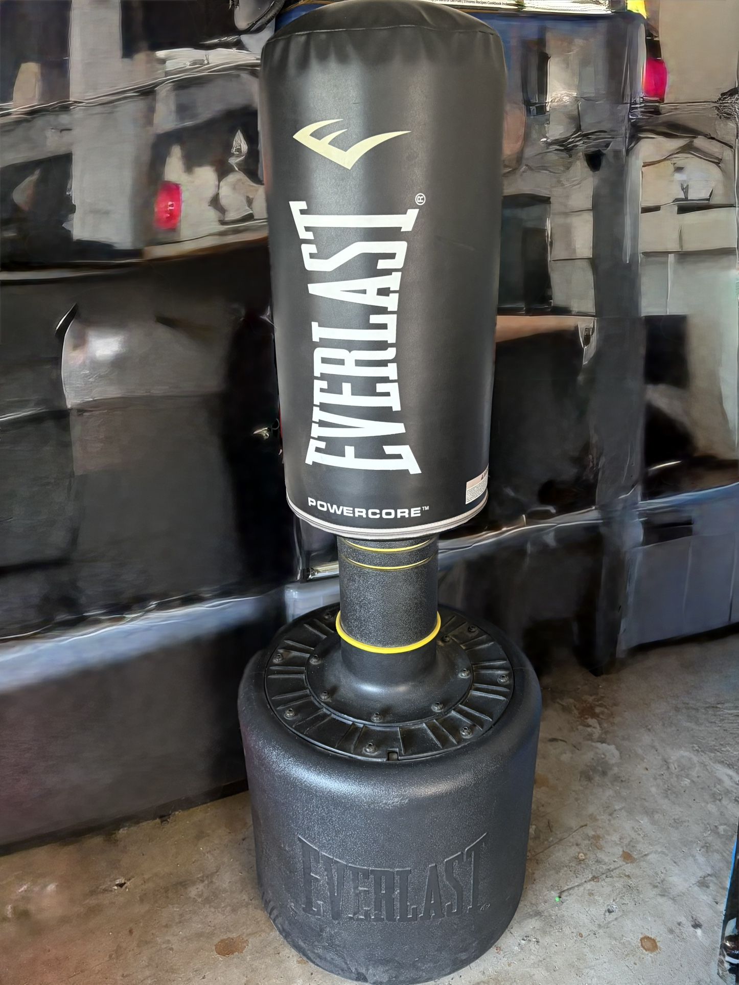 Everlast Powercore Punching Bag 