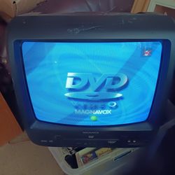 13 " TV / DVD Player