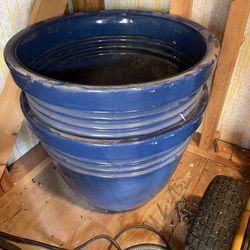 Flower Pots 