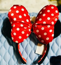 Mickey /Minnie Ears