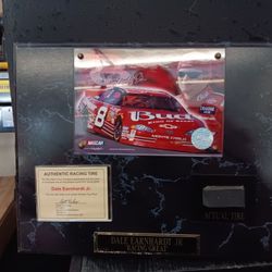 DALE EARNHARDT JR BUDWEISER PLAQUE