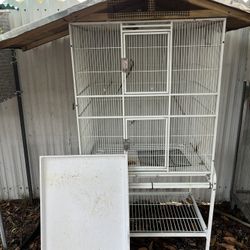 Bird Cage