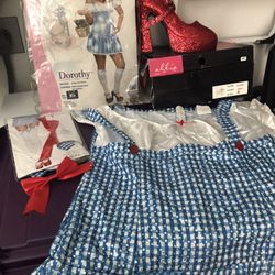 Dorothy Halloween Costume - XL