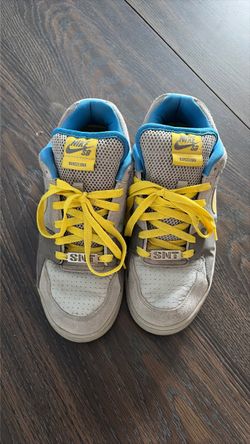Nike 9.5 SB
