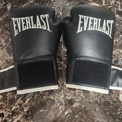 Everlast Boxing Gloves W Everlast Speed Rope