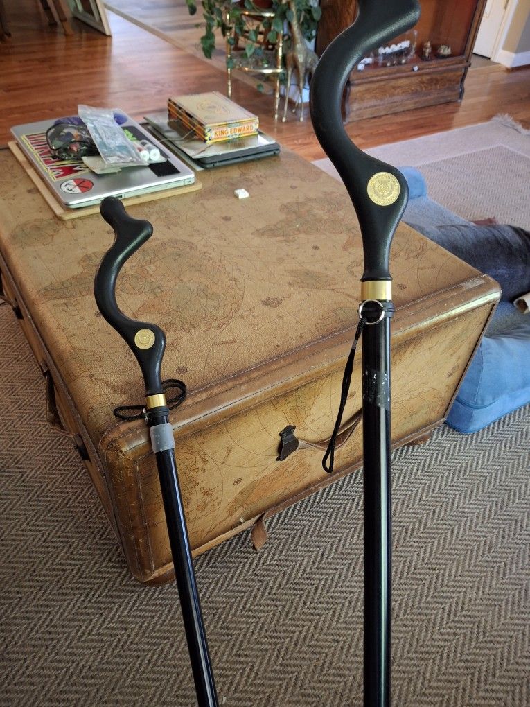 Posture Walking Canes