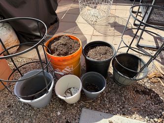 Free soil and/or plastic pots