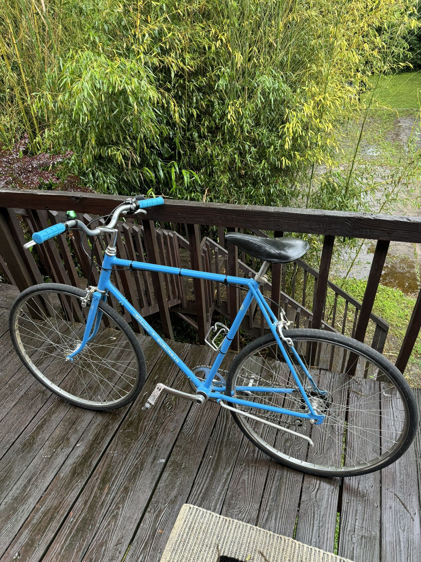 1970s Schwinn Suburban