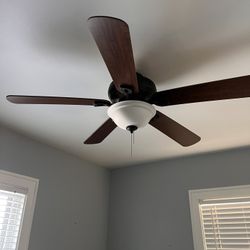 Ceiling Fans. NEED GONE