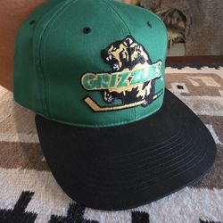 Vintage 90s Denver /Utah Grizzlies IHL Hockey Snapback G. C. C. "The G" Hat 