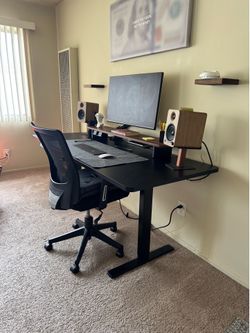 Standing Desk + Acessories