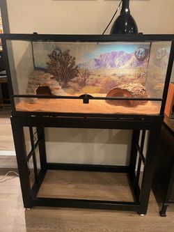 Glass Reptile Terrarium with Stand and Accessories