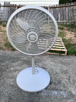 Pedestal fan