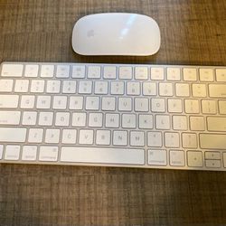 Apple Wireless Keyboard and Mouse 