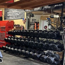 York Dumbbell Set 5- 100