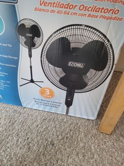 New fan