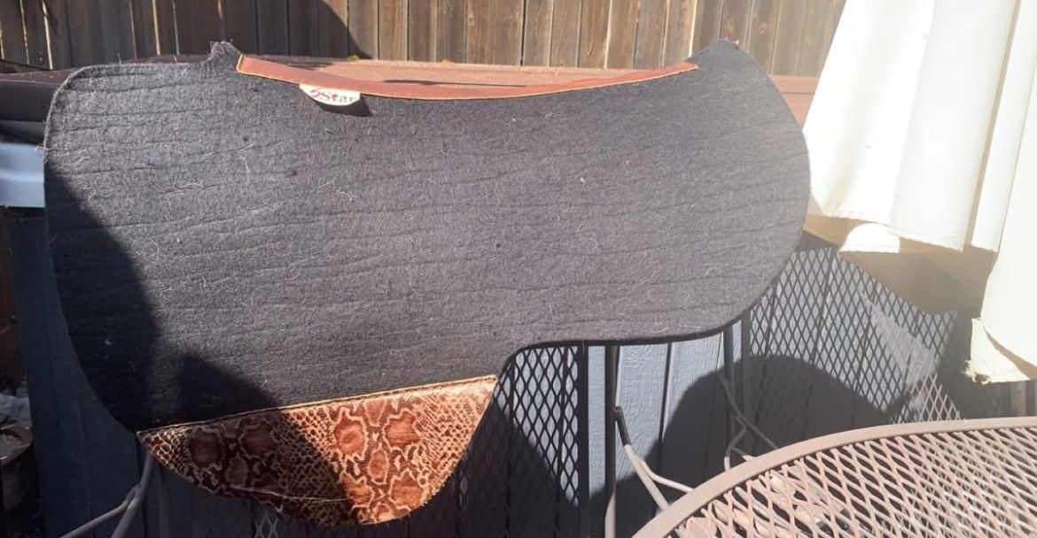 Saddle Pad For Sale