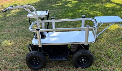 Electric customized fishing/jetty cart