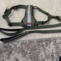 Dog Leash, Never Used And Harness Size M