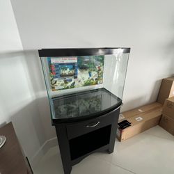 Fishtank & Stand 